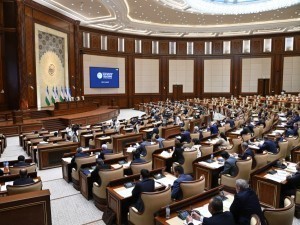 Changes in Parliament: reduction of Senate members and Deputy Speakers