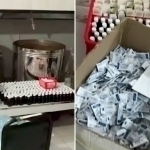 Andijonda 5 mlrd so‘mlik dorini noqonuniy ishlab chiqarganlar ushlandi (video)