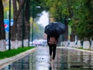 Эртага айрим жойларда ёмғир ёғади