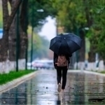 Ertaga ayrim joylarda yomg‘ir yog‘adi