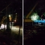 Toshkentdagi maktablarda kechasi daraxtlar kesib ketildimi?