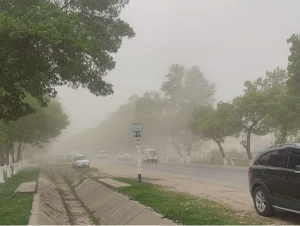 Bugun ayrim viloyatlarda chang-to‘zon kuzatiladi
