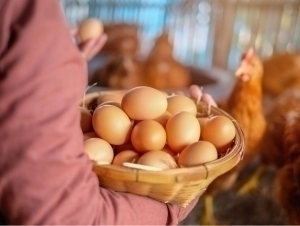 A man evading alimony payments for four years was found at a chicken farm in Khorezm