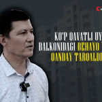 QALAMPIR.UZ суриштируви: Olmazor city'да олинган беҳаё видео қандай тарқалиб кетгани маълум бўлди
