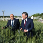 Shavkat Mirziyoyev: Hamma iqtisodiy sohalarda asosiy mezon - daromad