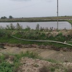 Toshkent viloyatida MCHJ rahbari hosildor yerni egallab olgani aniqlandi