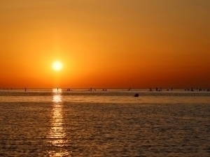 БМТ сўнгги 10 йилни тарихдаги энг иссиқ давр деб атади