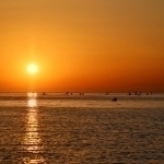 BMT so‘nggi 10 yilni tarixdagi eng issiq davr deb atadi