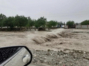 “Кучли ёмғир ёғади”. Ўзгидромет тезкор огоҳлантириш билан чиқди