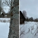 Belarusda butun bir qishloq sotuvga qo‘yildi