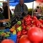Which products become more expensive and which become cheaper in the markets of Tashkent?