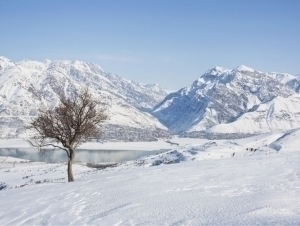 O‘zbekistonga nam va sovuq havo massalari kirib keladi