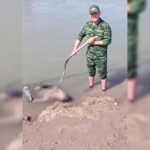 Andijonda 16 yoshli o‘smir daryoga cho‘kib ketdi (video)