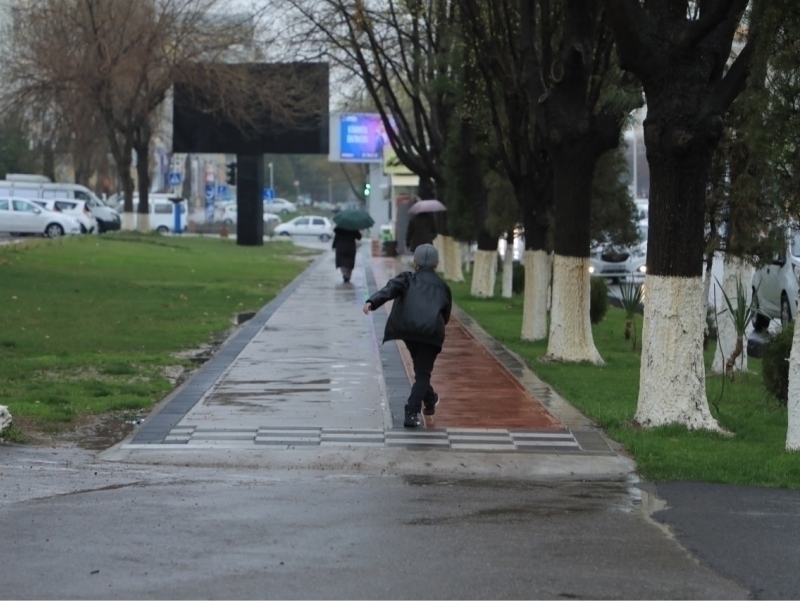 Bugun ba’zi joylarda yomg‘ir yog‘ib, momoqaldiroq bo‘ladi