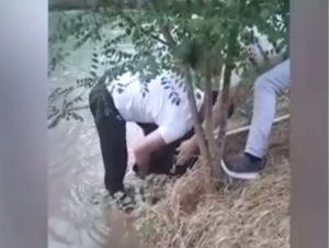 Individuals who stole $560,000 from an office in Tashkent detained (video)
