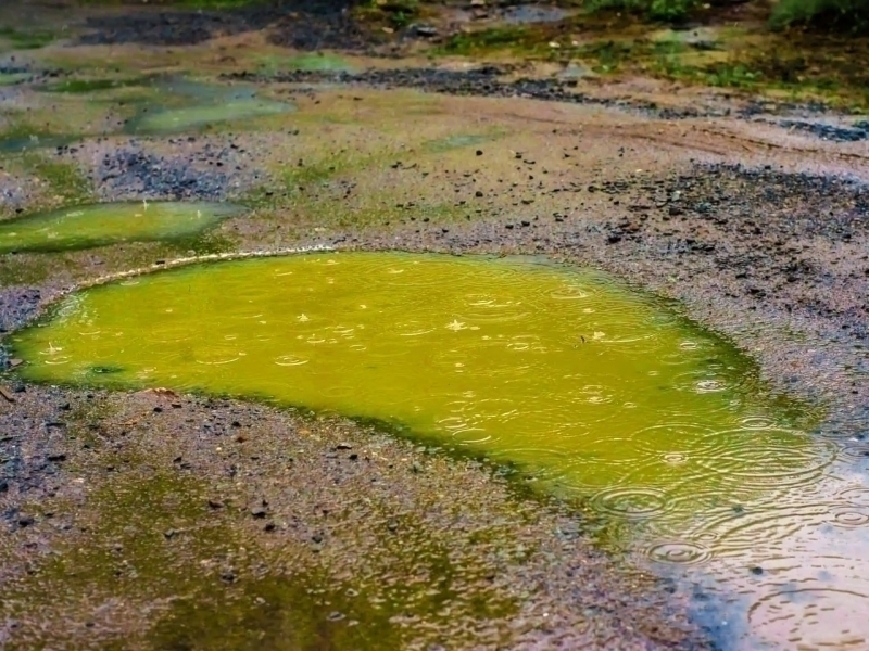 Erondagi bulut sabab Markaziy Osiyoda kislotali yomg‘ir yog‘adimi?
