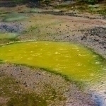 Erondagi bulut sabab Markaziy Osiyoda kislotali yomg‘ir yog‘adimi?