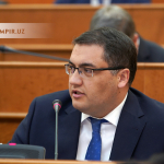 Давлетов “снос”лар муаммоси, Президент кўрсатган ечим ва ЖАР тажрибаси ҳақида 