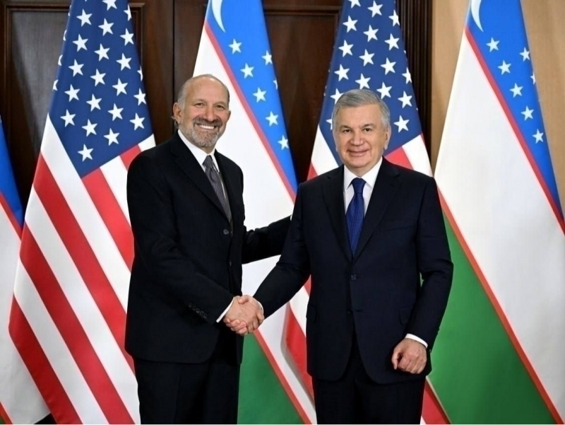 Katta sochli mushuklarning porno videolari