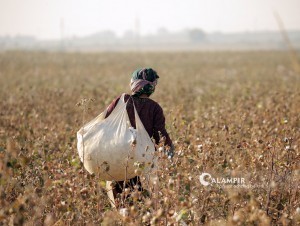 The boycott of Uzbek cotton is being lifted