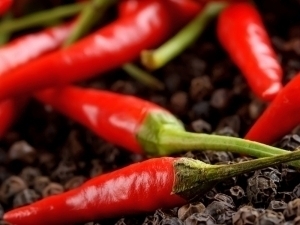 Kazakhstan leads as top destination for Uzbekistan’s pepper exports