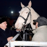 Prezident yilqichilik va ot sportiga oid qarorni imzoladi