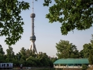 Ertaga havo 45 darajagacha isiydi
