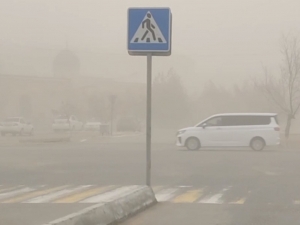 Бугун Сурхондарёда кучли чанг-тўзон бўлади – Ўзгидромет