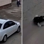 Samarqandda 11-sinf o‘quvchisi Gentra’da 5 yoshli qizchani urib qochdi (video)