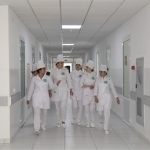 Italy invites Uzbek nurses for well-paid positions