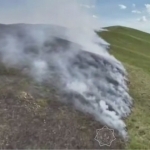 Qozog‘istondagi o‘rmonga o‘t ketdi (video)