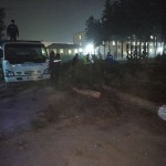 Қонун ва Президент фармони бузилган. Андижондаги “дарахт қирғини” тафсилотлари маълум бўлди