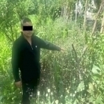 Uchta viloyatda jami 18 ming tupdan ortiq ko‘knori ekkanlar ushlandi (video)