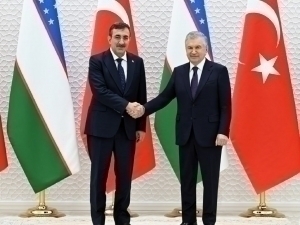 Mirziyoyev meets with the Vice President of Turkey