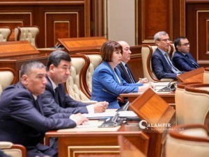 The work of the Ombudsman was severely criticized in the Senate