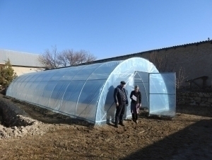 Бир ҳафтада Тошкентдаги барча иссиқхоналар газга уланади