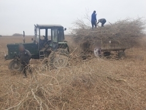 A farmer who caused 618 million damage to nature in Khorezm was brought to justice
