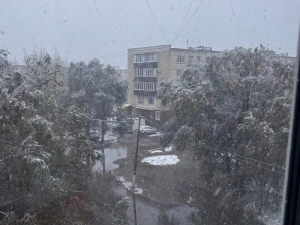 Қозоғистонда биринчи қор ёғди (видео) 