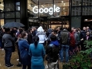 Google’ни ҳашаротлар босди