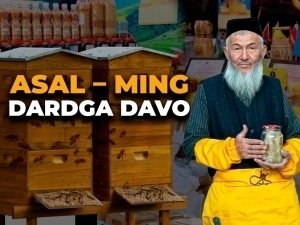 Асал байрами. Шифо, меҳнат ва ишонч бир жойда