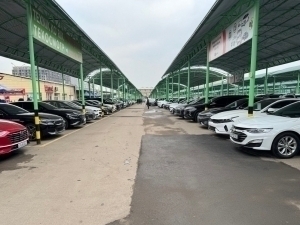 Used electric vehicle sales rise in Uzbekistan