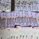 Toshkent va Namanganda qariyb 30 ming AQSH dollari qalbaki pul aniqlandi