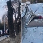 Tree branch falls on a Cobalt in Tashkent