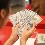 Dollarning rasmiy kursi yangilandi