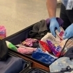 Toshkent aeroportida 4,4 kg narkotikni shirinlik qadoqlariga yashirgan qozog‘istonlik ushlandi (video)