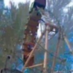Фарғонада вояга етмаган қиз аттракциондан тушиб кетди