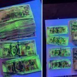A person who wanted to sell forestry land for 25 thousand dollars was caught in Samarkand