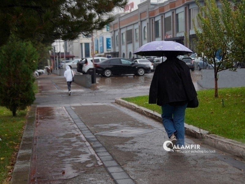 Эртага қайси ҳудудларда ёмғир ёғиши айтилди