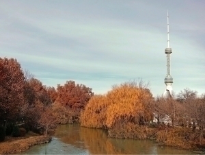 Ertaga harorat 20 darajagacha ko‘tariladi