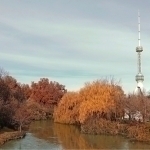 Temperature to rise to 20 degrees tomorrow